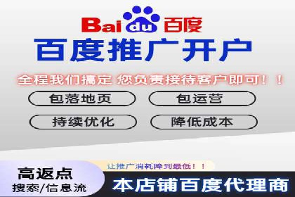 百度推广渠道拓展，成功案例分析
